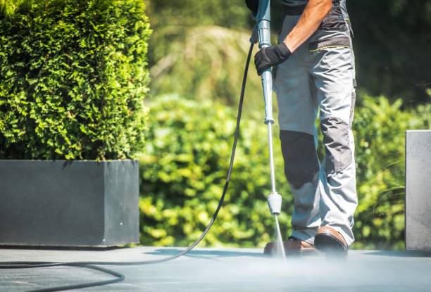 Best Boat and Dock Cleaning  in Hamlin, WV