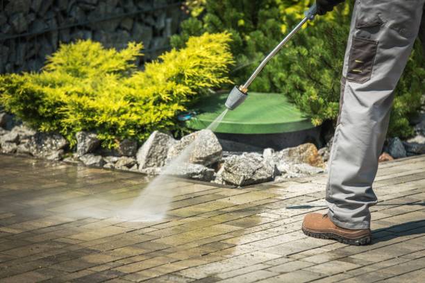 Boat and Dock Cleaning in Hamlin, WV