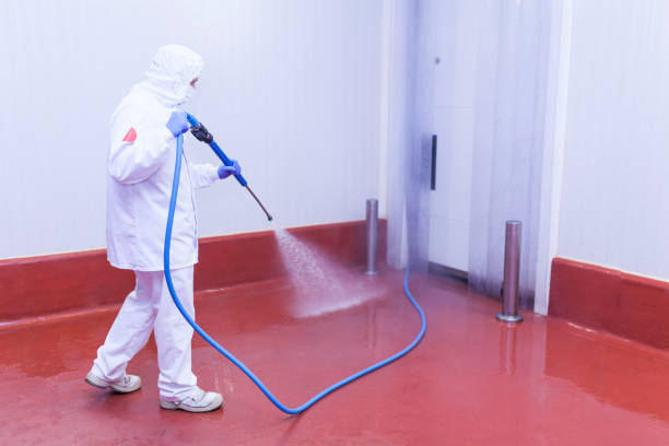 Best Spring Cleaning  in Hamlin, WV
