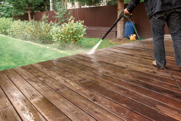 Best Animal Enclosure Cleaning  in Hamlin, WV
