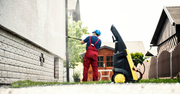 Best Gutter Cleaning  in Hamlin, WV